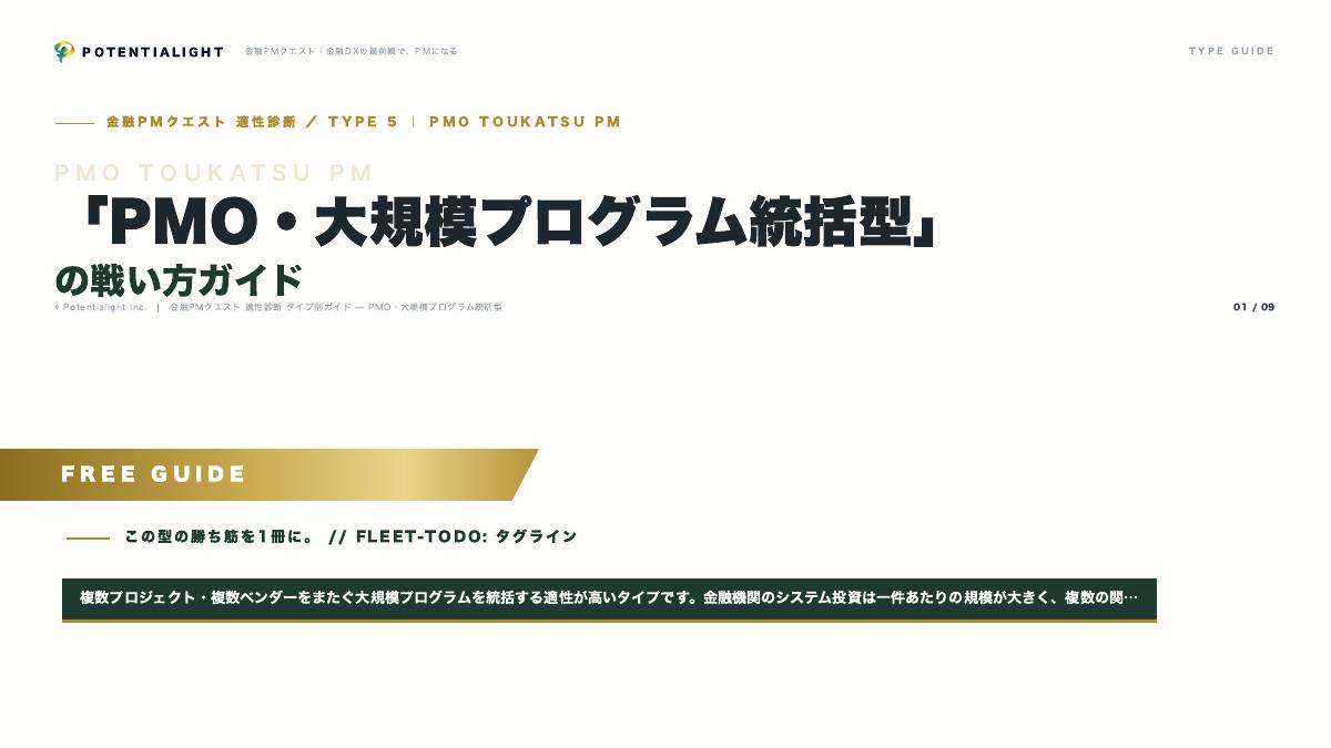 PMO・大規模プログラム統括型の戦い方ガイド 表紙